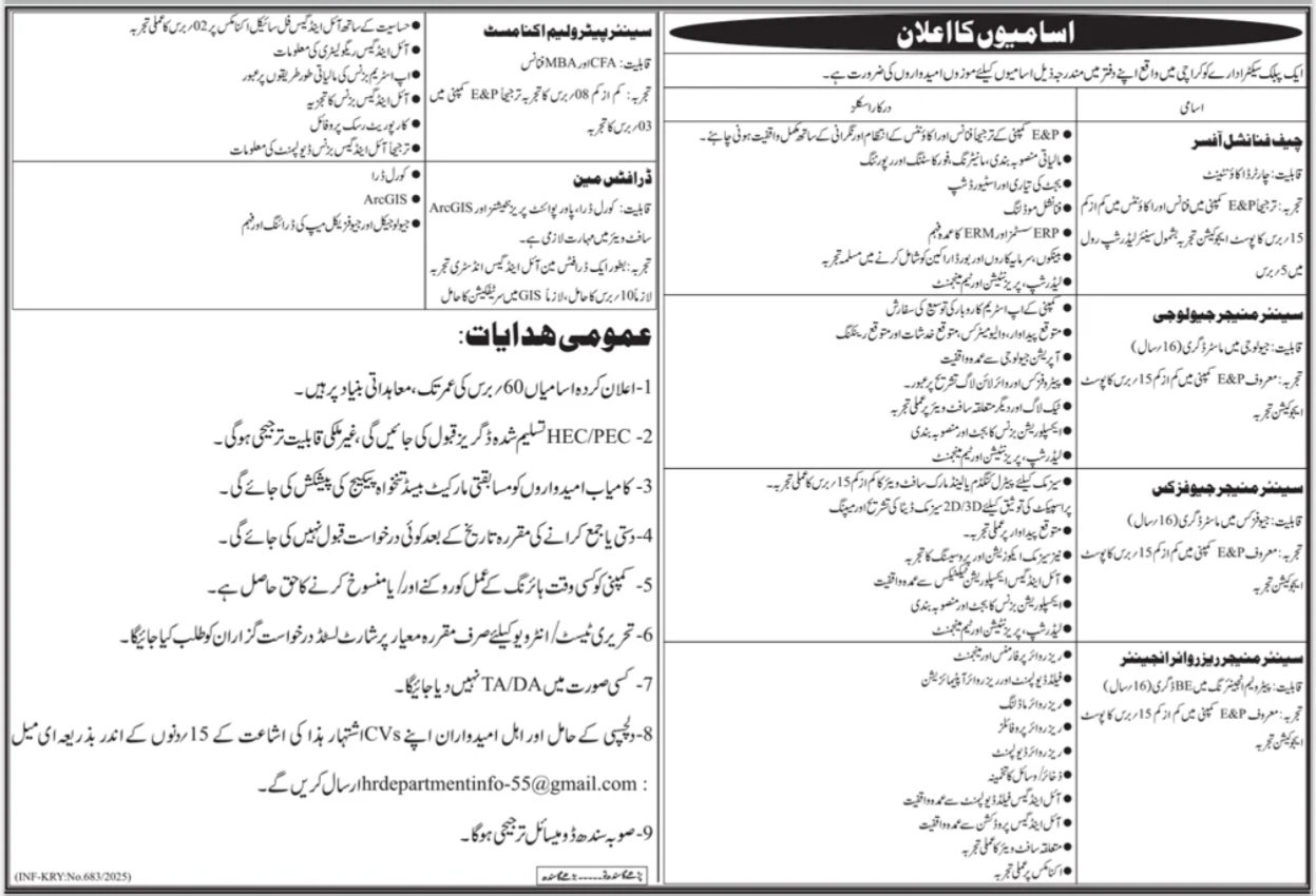 Chief Financial Officer & Draftsman Jobs In Karachi For 2025