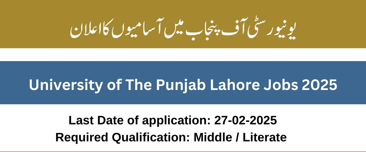University Of Punjab Jobs Opportunities In Lahore For 2025