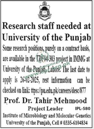 University Of Punjab Jobs Opportunities In Lahore For 2025