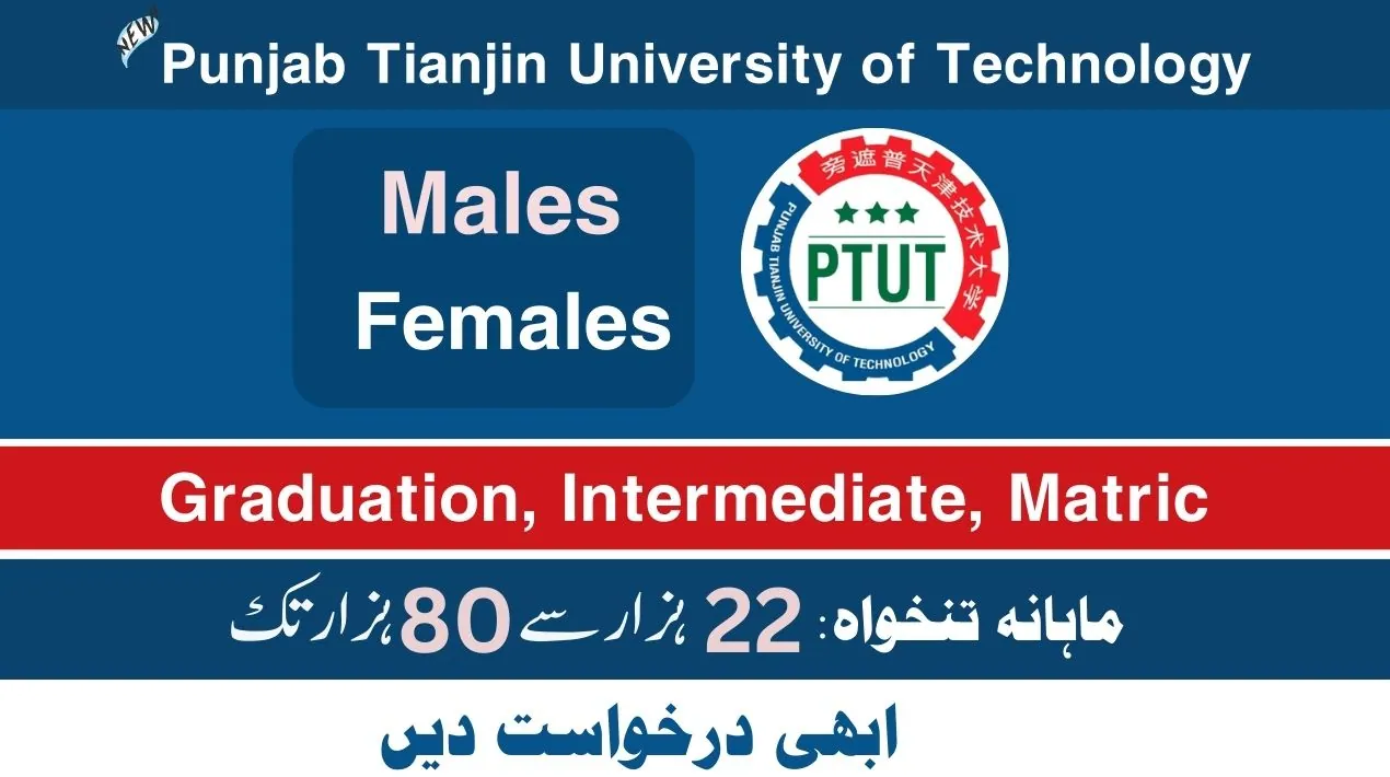 Punjab Tianjin University Lahore Jobs 2025
