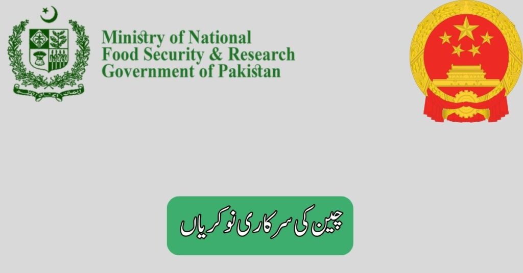 China Government Jobs In Pakistan 2025