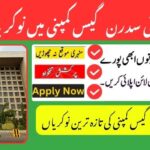 SUI Southern Gas Company Limited Jobs Karachi -2025